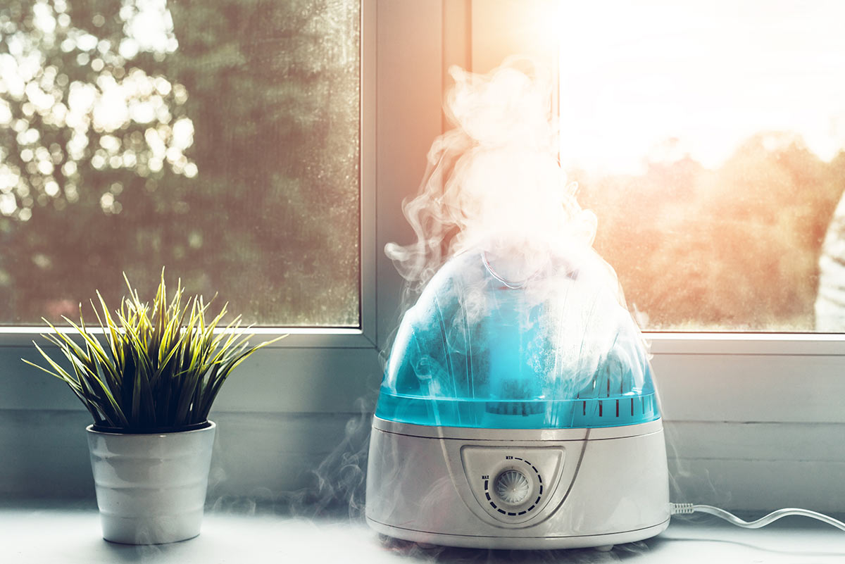 Apartment Humidifier