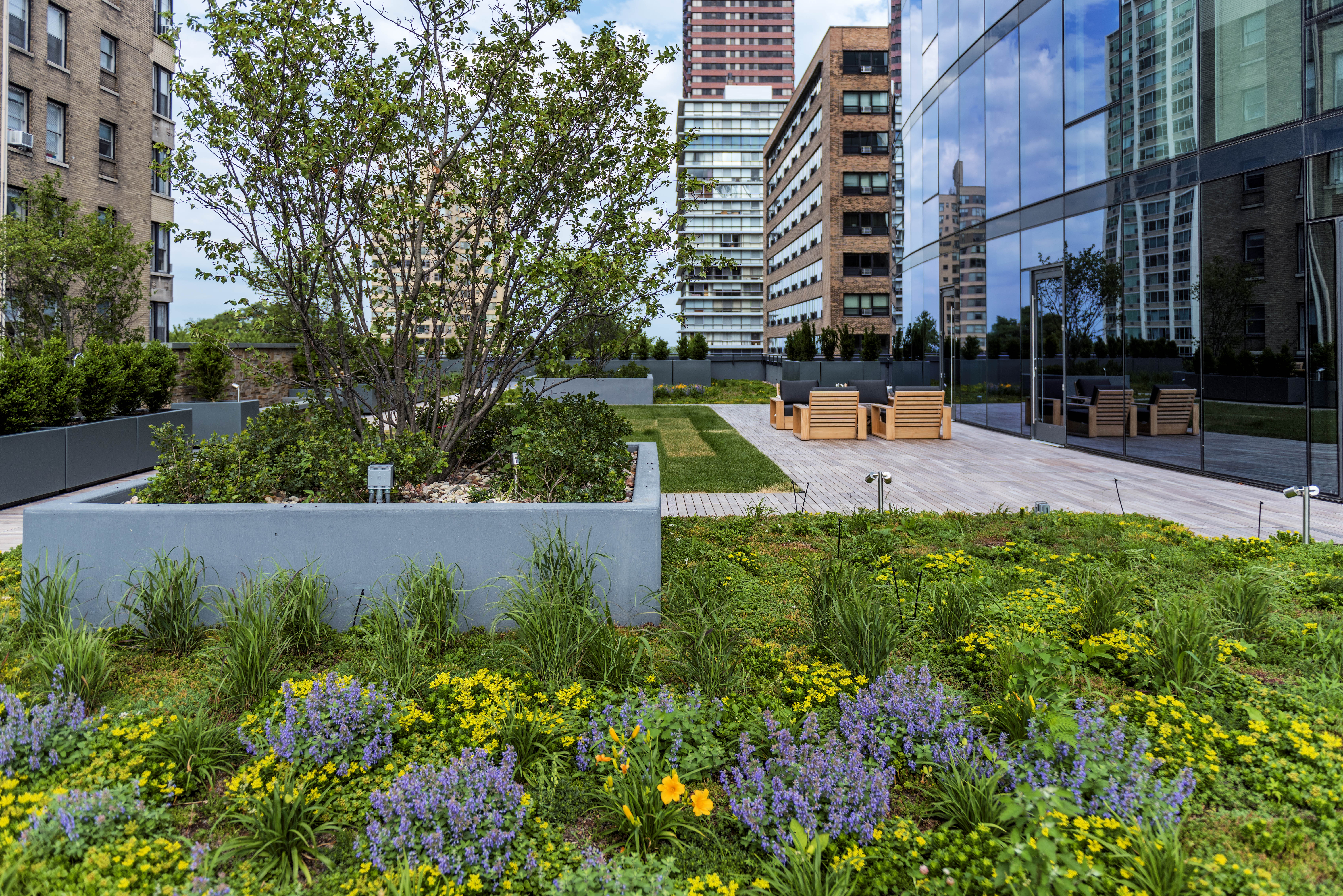 2950 North Sheridan Deck 6