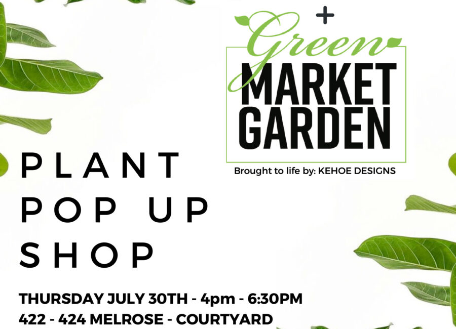 Plant Pop Up Shop