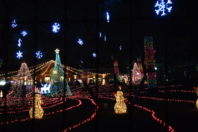 Holiday Lights at Lincoln Park Zoo