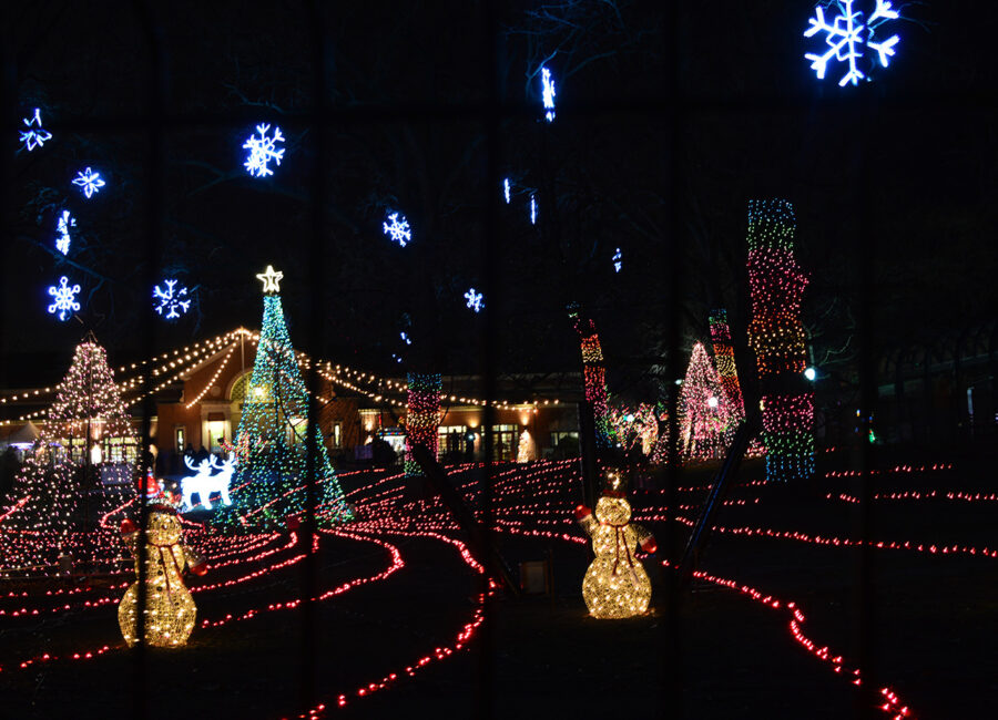 Holiday Lights at Lincoln Park Zoo